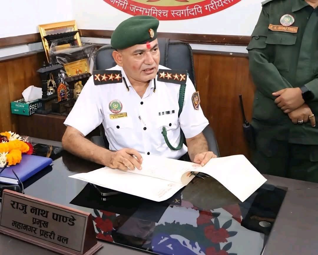 राजु पाण्डे